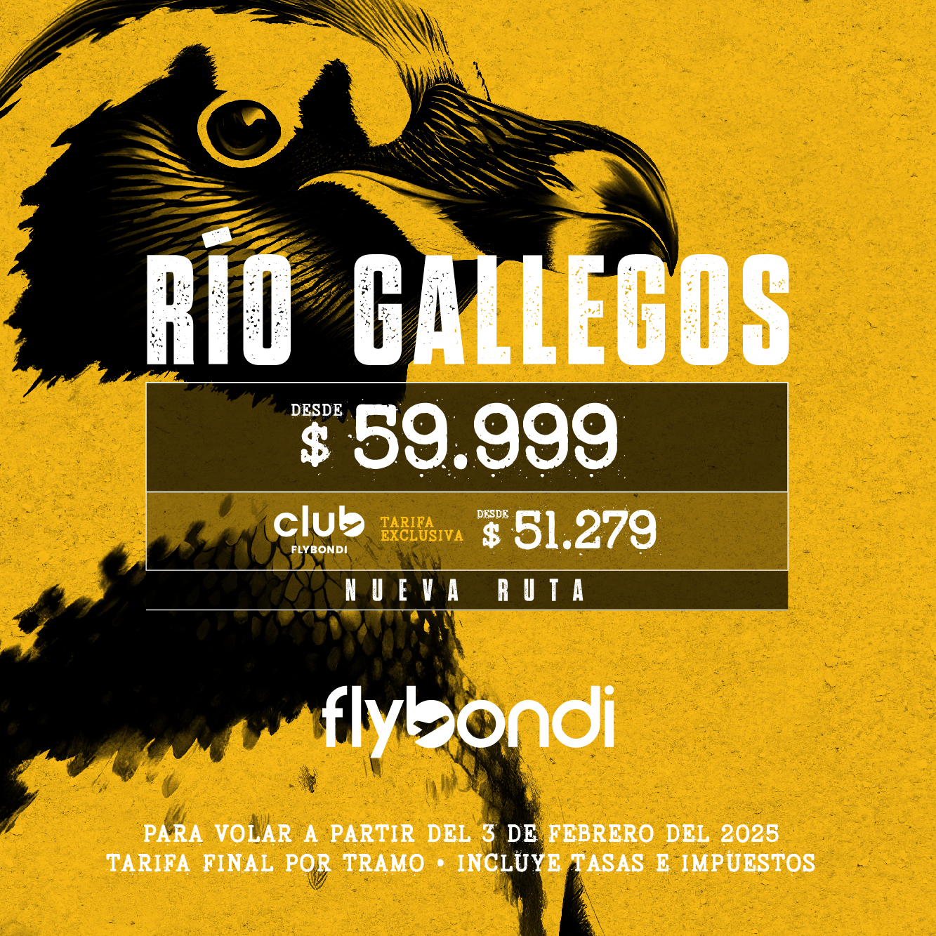 Flybondi comenzará a volar a Río Gallegos desde febrero