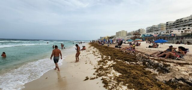 Sargazo: piden a Sheinbaum que lo haga emergencia y recibir recursos