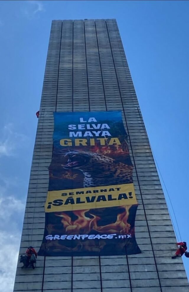 Foto – Selva Maya: Greenpeace protesta escalando la Estela de Luz