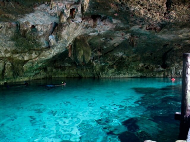 Playa del Carmen: estudio revela cenotes y pozos contaminados