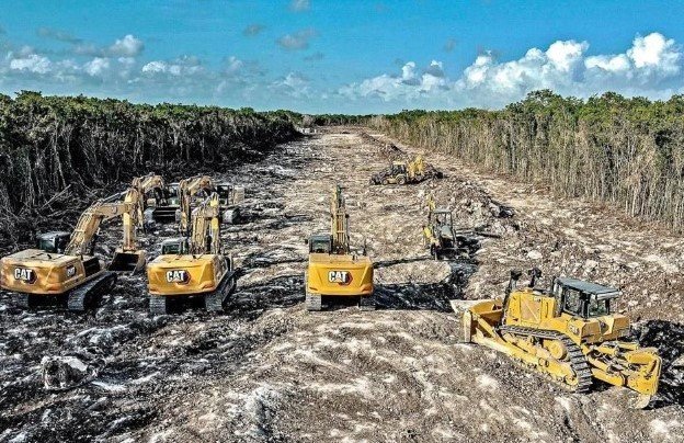 Tren Maya: para terminal de carga despejarán 259 hectáreas de selva