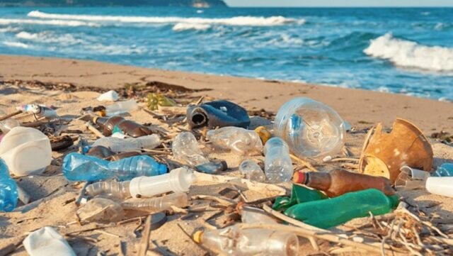 QRoo: exigen cumplir la ley que prohíbe plásticos de un solo uso