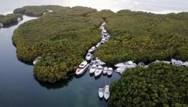 Puerto Morelos-Playa del Carmen: mal clima golpea a turismo náutico