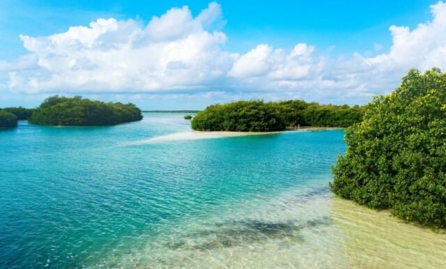 QRoo: aprueban polémico hotel de 540 cuartos cerca de Sian Ka’an