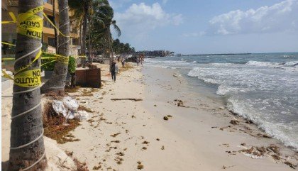 Playa del Carmen: 95% de turistas viaja por arenales hoy en riesgo