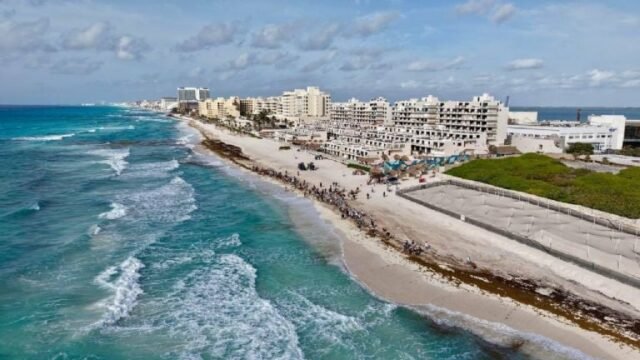 QRoo: sorprende notable arribo de sargazo a las playas este 2026