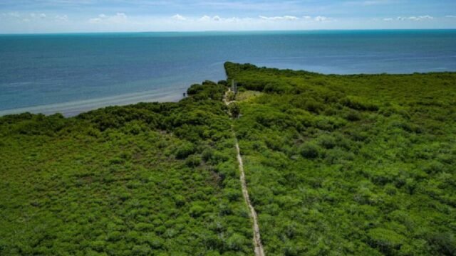 Lezama: solo carros eléctricos para ingresar al proyecto Puerta al Mar
