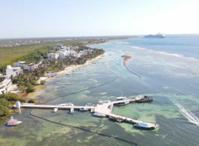 Sargazo: Lezama incrementa presupuesto para el arribo atípico