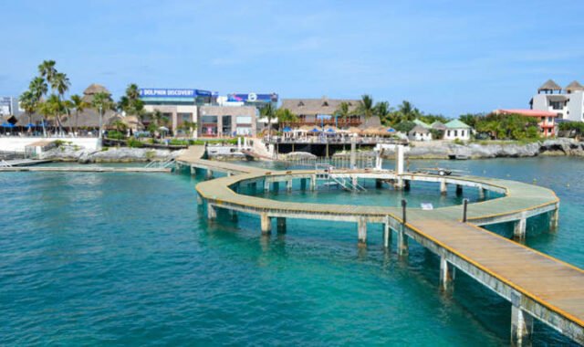 QRoo: The Dolphin se deslinda de su exdirector detenido