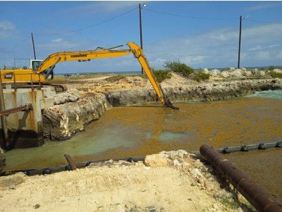 Cuba: sargazo agudiza crisis energética dañando planta eléctrica