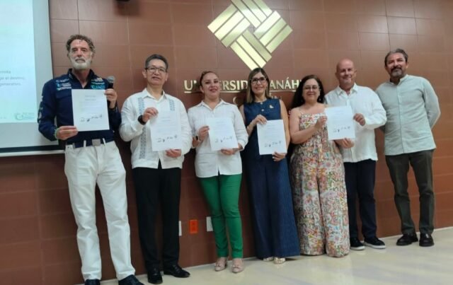 Solución al sargazo: hoteleros lo ven creando riqueza como energía