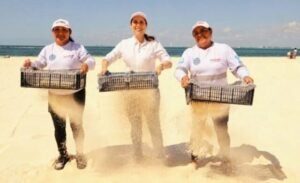 QRoo sufre un golpe reputacional a sus playas al perder distintivos