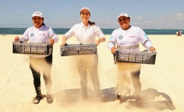 QRoo sufre un golpe reputacional a sus playas al perder distintivos
