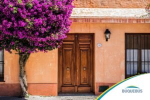 Buquebus busca triplicar turismo en Colonia