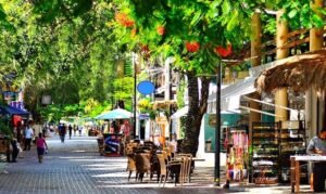 Playa del Carmen: 250 vendedores ambulantes son sacados del centro