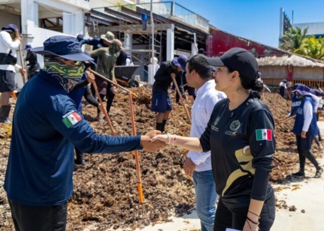 Playa del Carmen: sargazo sería culpa de playas extensas y Cozumel