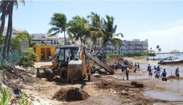 Playa del Carmen: limpieza de sargazo agrava la erosión de playas