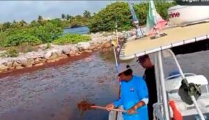 QRoo: barcos para turistas pasan a limpiar sargazo ante el colapso