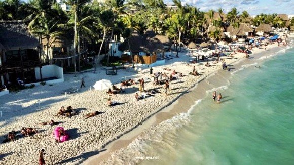 Playa del Carmen: andador costero ayudaría a contener el sargazo