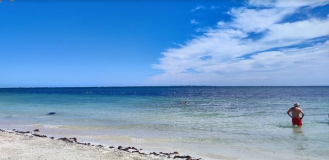 Barrera antisargazo: priorizan a Cancún sobre Puerto Morelos  