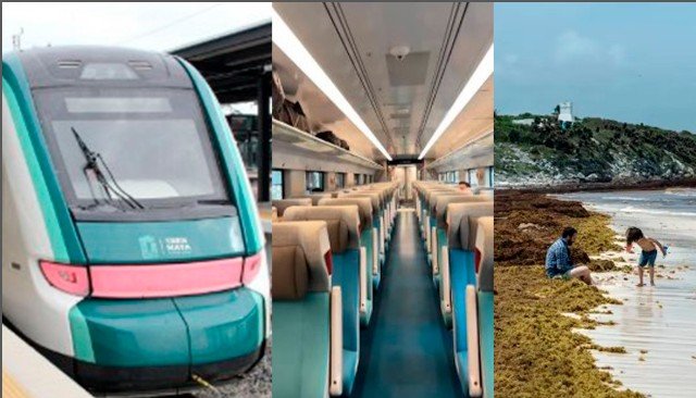 Sargazo se habría erradicado por un mínimo del coste del Tren Maya