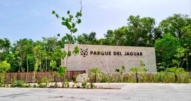 Parque del Jaguar: Sheinbaum deja a 60 empleados sin trabajo