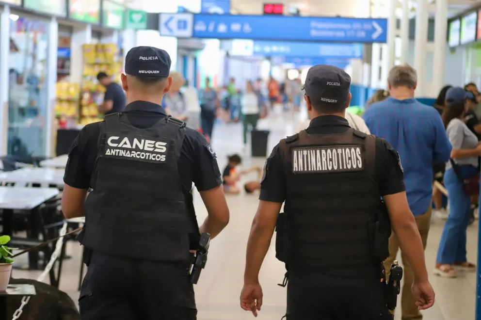 Más de 254 kilos de droga ya fueron retirados de circulación en Neuquén