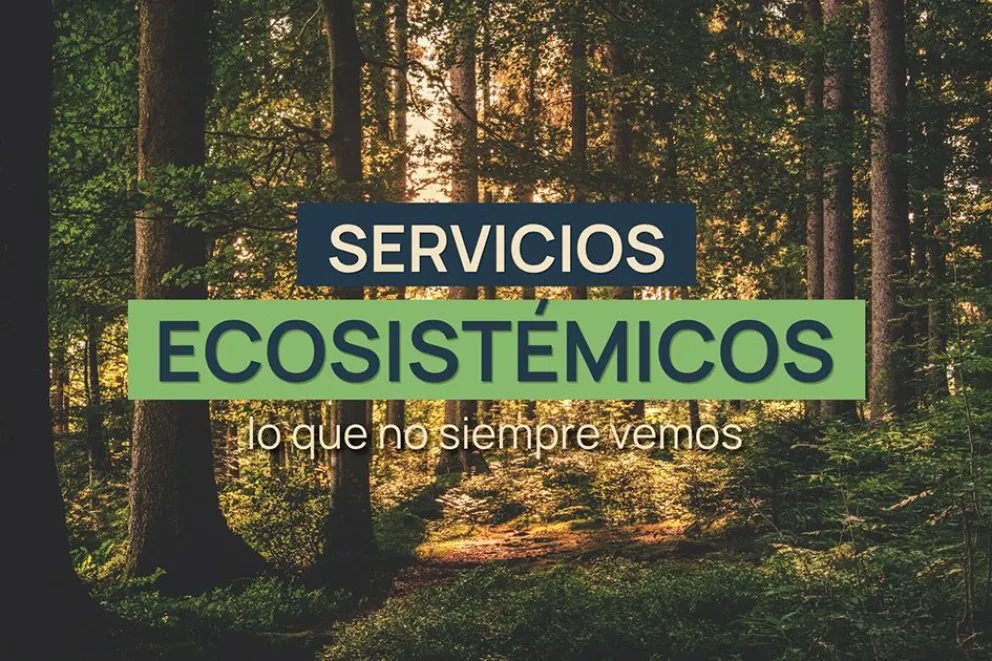 El efecto inadvertido de los ecosistemas en Neuquén