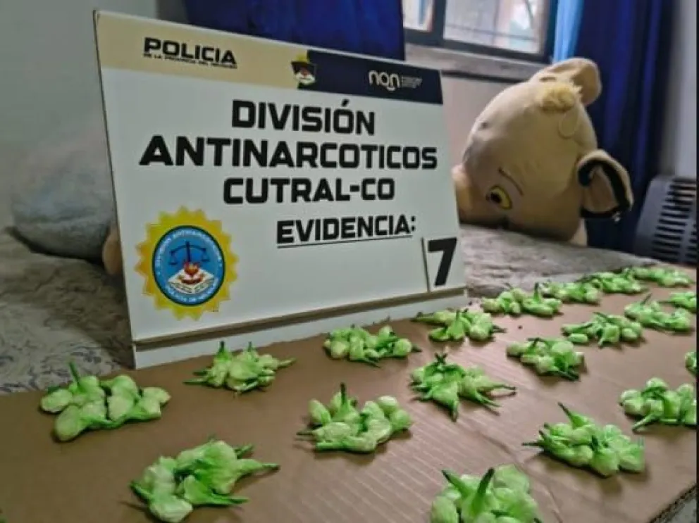 Duro golpe al narcomenudeo en Cutral Co