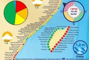 QRoo: sargazo hace presencia en 68 playas de las 140 del estado