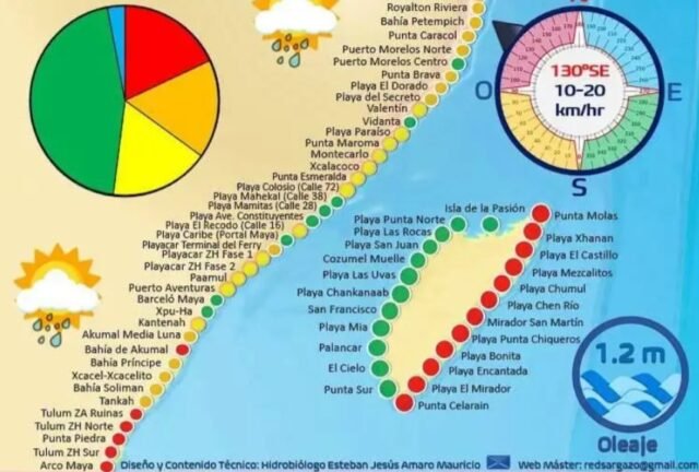 QRoo: sargazo hace presencia en 68 playas de las 140 del estado