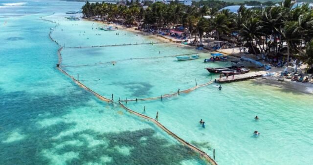 Barrera antisargazo en Mahahual: hoteleros acuerdan instalar 1.750 m