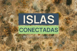 Islas conectadas: cómo la vegetación sostiene la vida en la estepa neuquina