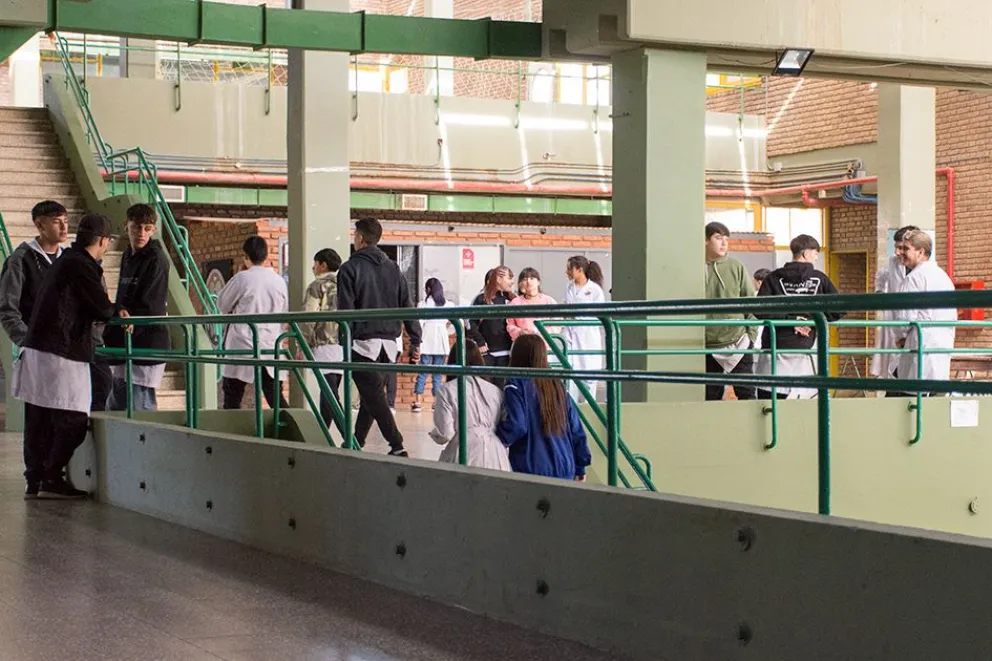 Aprobaron los contenidos del Ciclo Orientado para el nivel Secundario
