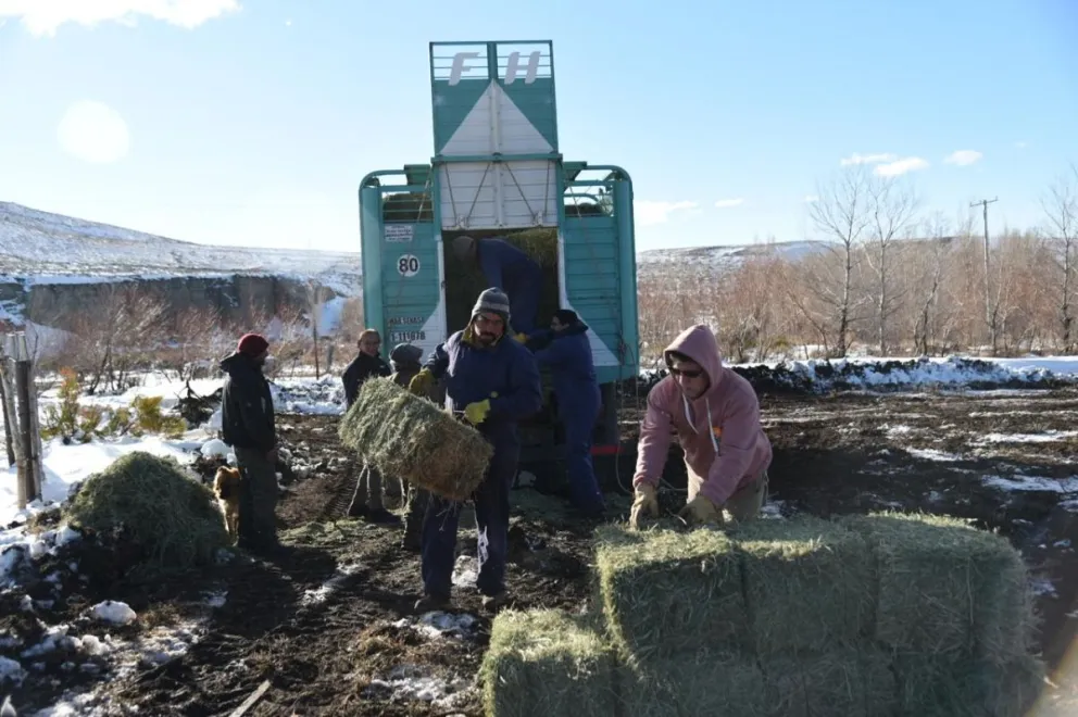 Presencia en territorio para acompañar a los crianceros durante el temporal