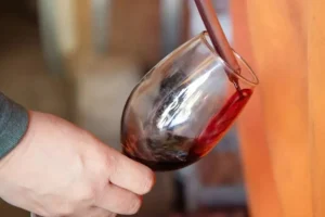 Neuquén impulsa al Pinot Noir como cepa de la provincia a través de un proyecto de ley