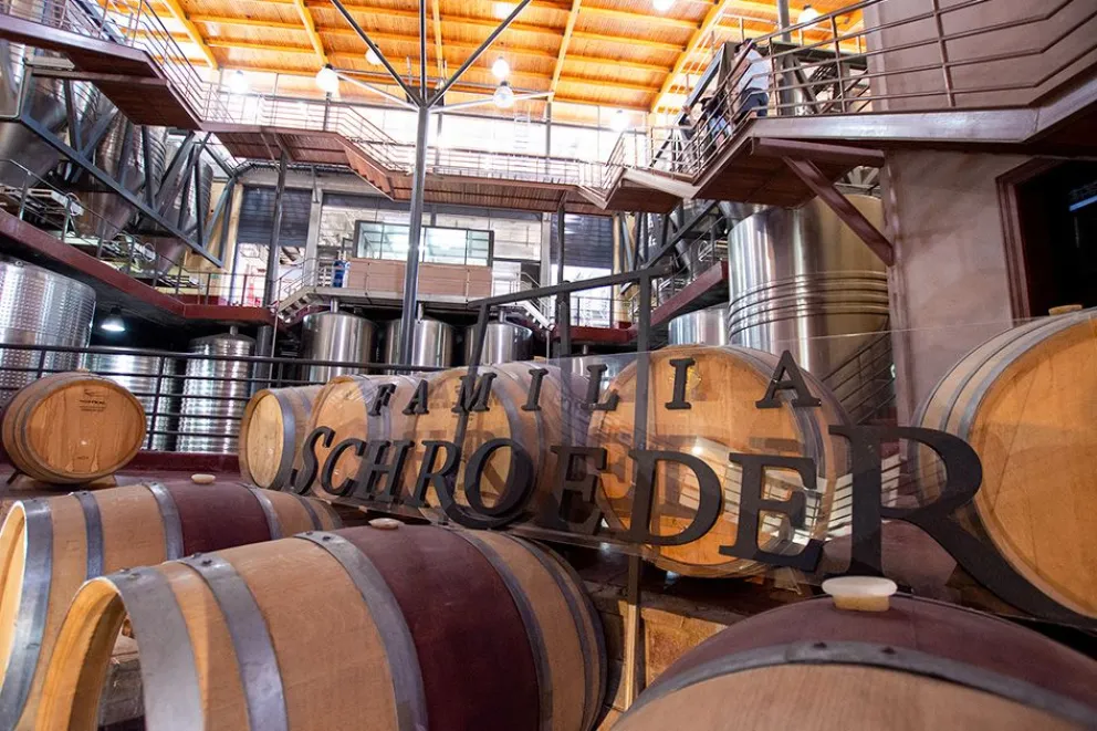 ¿Se viene un Pinot Noir sin alcohol?