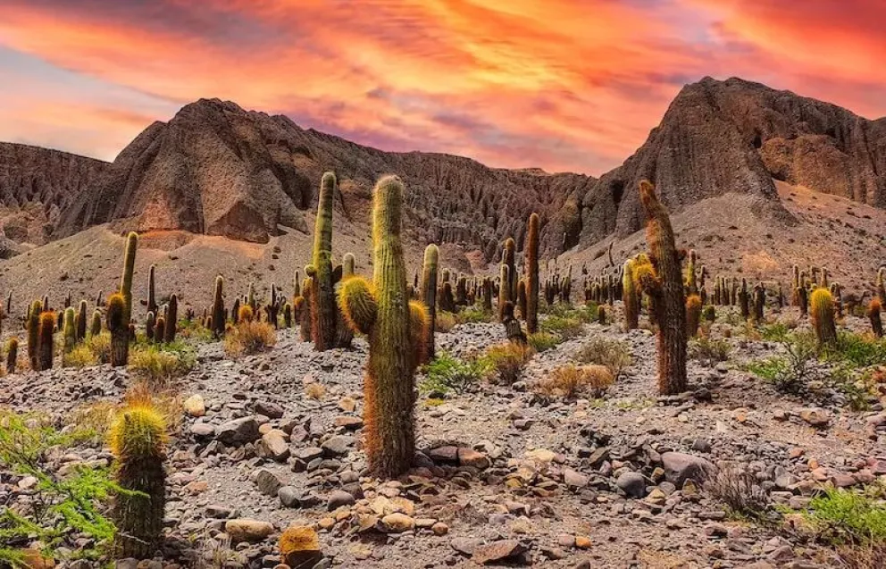 ¿Cuánto cuesta viajar en micro al Norte Argentino?