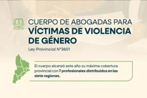 Provincia asumirá la representación jurídica de la víctima del intento de femicidio en Aluminé