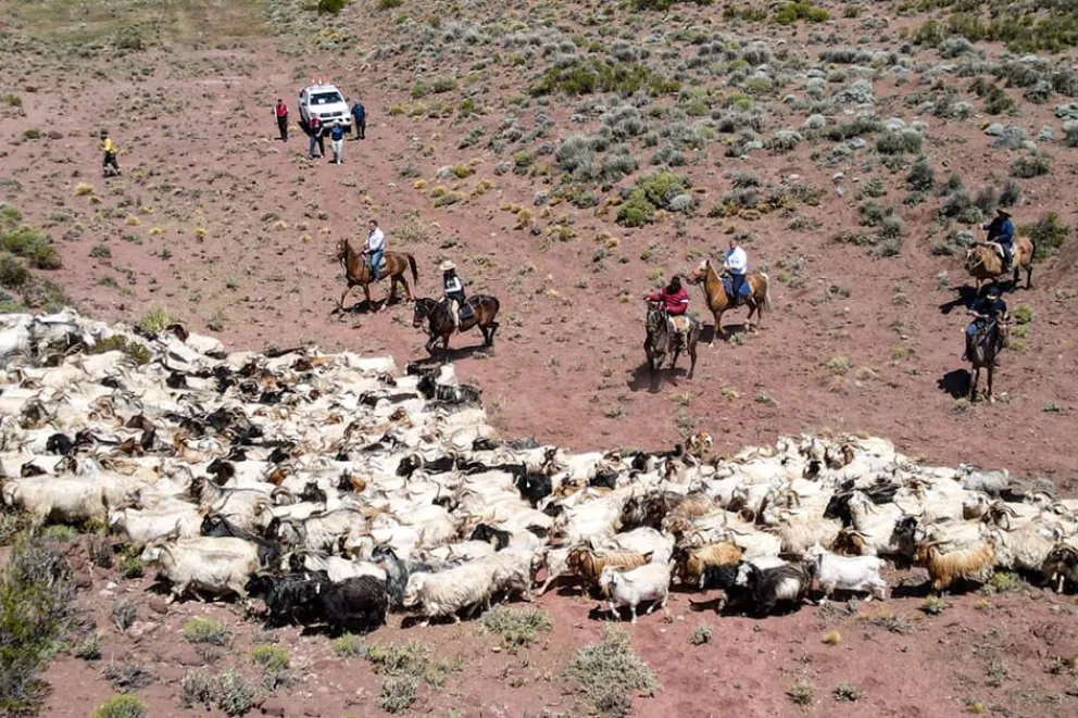 Los productores trashumantes eligen a los nuevos representantes de la Comisión de Huellas de Arreo