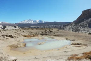<div>Un viaje al Jurásico: la experiencia para descubrir el “Mar de Vaca Muerta”</div>