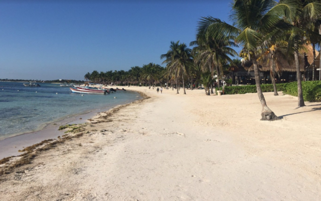 Golpe del sargazo a Akumal al perderse arena con su recolecta