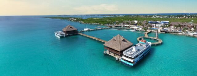 Delphinus en Xcaret y Dolphin buscan tumbar la ‘Ley Mincho’