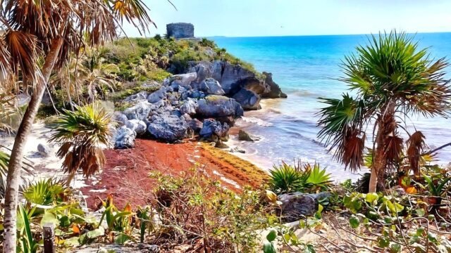 Tulum: playas conservan arena por evitar máquinas al limpiar sargazo
