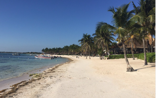 Tulum: aún sin casi sargazo se intensifica la limpieza de playas