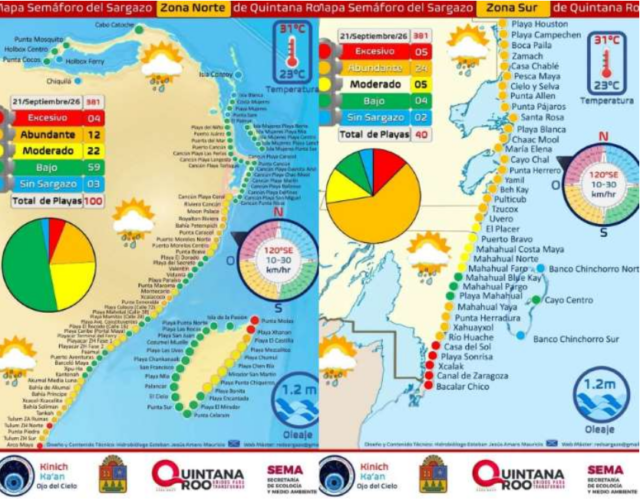 QRoo: sargazo aún presente en 135 playas de las 140 monitoreadas