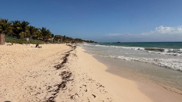 Tulum: pese a disminuir el sargazo, los comercios siguen en crisis