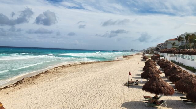 Cancún: sargazo baja su recale, pero temen que los vientos cambien