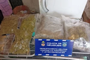 Allanamientos y secuestro de droga por robos violentos en Plottier