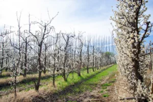 El Encuentro Provincial de Agroturismo llega con nuevas herramientas para el sector